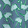 Coronet Blue / XS Color Swatch