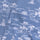 Coronet Blue / S Color Swatch