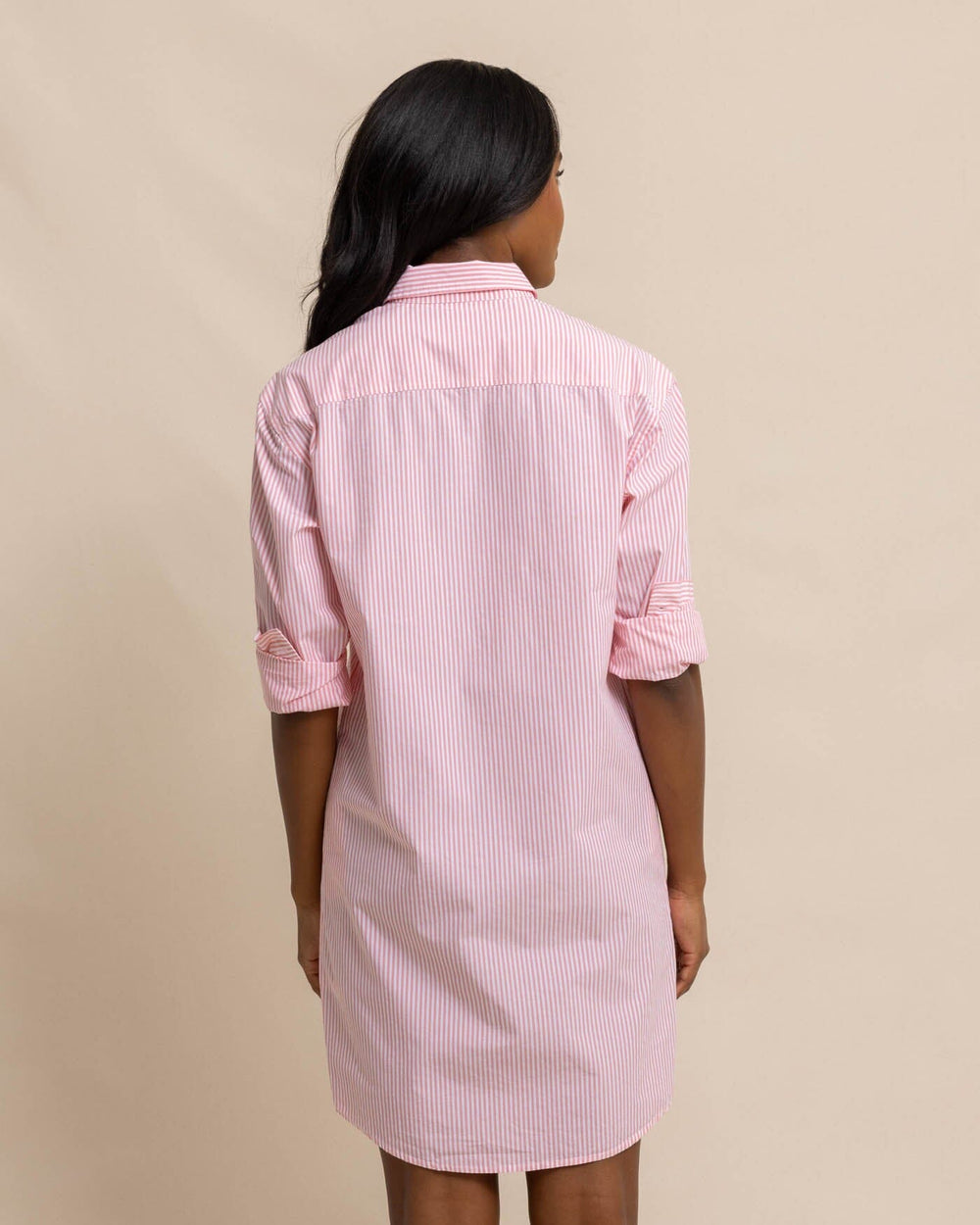 Cam Stripe Poplin Dress