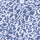 Coronet Blue / XS Color Swatch