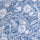 Coronet Blue / S Color Swatch