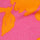Camelia Rose Pink / XS Color Swatch