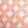 Conch Shell / XS Color Swatch